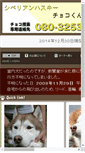 Mobile Preview