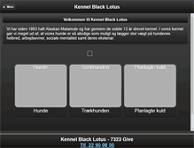 Tablet Preview