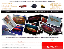 Tablet Preview