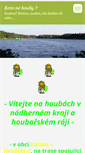 Mobile Preview