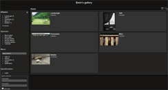 Desktop Preview