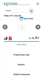 Mobile Preview