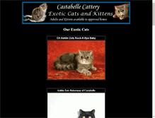 Tablet Preview