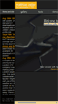 Mobile Preview