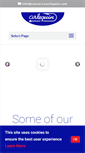 Mobile Preview