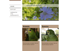 Tablet Preview