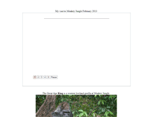 Tablet Preview