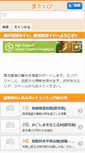 Mobile Preview
