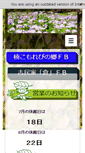 Mobile Preview