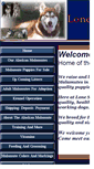 Mobile Preview