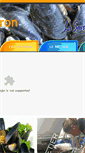 Mobile Preview