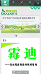 Mobile Preview