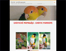 Tablet Preview
