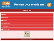 Tablet Preview