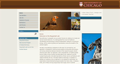 Desktop Preview