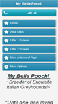 Mobile Preview