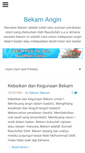 Mobile Preview