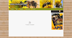 Desktop Preview