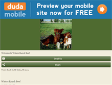 Tablet Preview