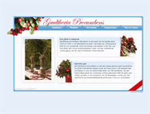 Tablet Preview