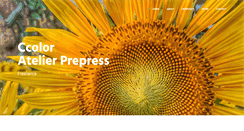 Desktop Preview
