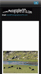 Mobile Preview