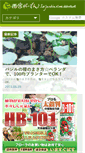 Mobile Preview