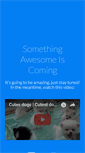 Mobile Preview