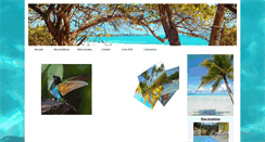 Desktop Preview