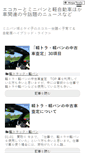 Mobile Preview