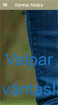 Mobile Preview
