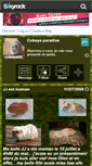 Mobile Preview