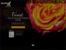 Tablet Preview