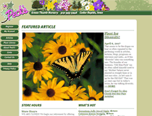 Tablet Preview