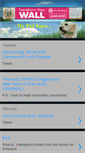 Mobile Preview