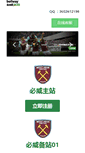 Mobile Preview