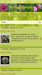 Mobile Preview