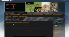Desktop Preview