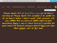 Tablet Preview