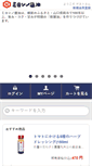 Mobile Preview
