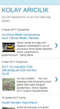 Mobile Preview
