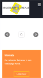 Mobile Preview