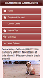 Mobile Preview
