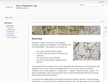 Tablet Preview