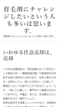 Mobile Preview
